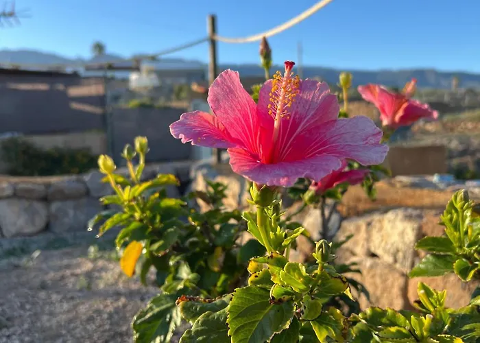 La Suerte * Чимиче