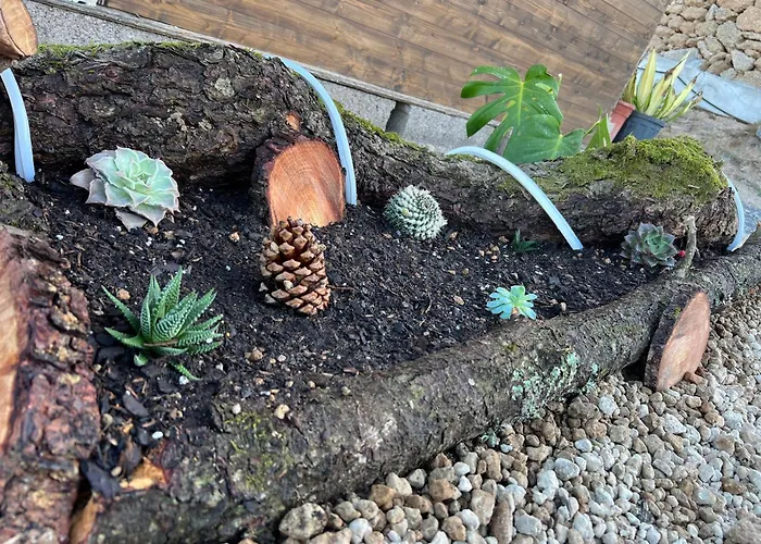 Кемпинг La Suerte